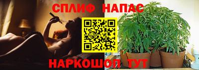тгк Коммунар