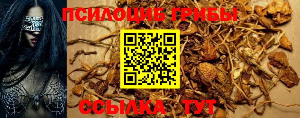 Галлюциногенные грибы мицелий Ирбит